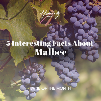 5 Interesting Facts About Malbec Wine You Didn't Know
