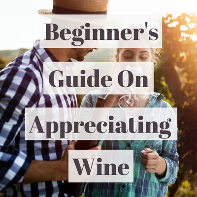 Beginner's Guide On Appreciating Wine