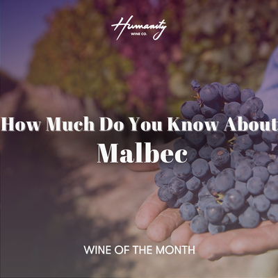 How Much Do You REALLY Know About Malbec?